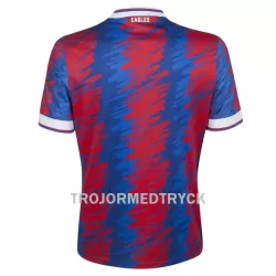 Crystal Palace Fotbollströja Hemma 22/23