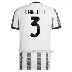 Juventus Chiellini 3 Fotbollströja Hemma 22/23 Juventus Chiellini 3 Fotbollströja Hemma 22/23