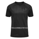 Danmark VM 2022 Fotbollströja Tredje