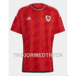 Wales VM 2022 Fotbollströja Hemma