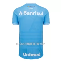 Grêmio FBPA Fotbollströja Tredje 22/23