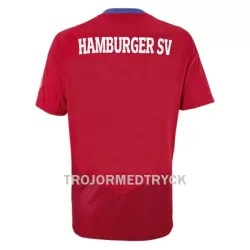 Hamburger SV Fotbollströja Tredje 22/23