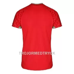 Iran VM 2022 Fotbollströja Borta