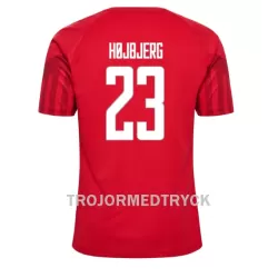 Danmark Pierre-Emile Hojbjerg 23 VM 2022 Fotbollströja Hemma Danmark Pierre-Emile Hojbjerg 23 VM 2022 Fotbollströja Hemma