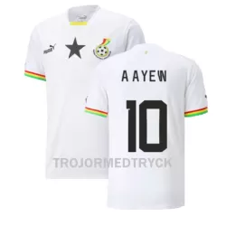 Ghana Andre Ayew 10 VM 2022 Fotbollströja Hemma Ghana Andre Ayew 10 VM 2022 Fotbollströja Hemma