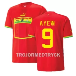 Ghana Ayew 9 VM 2022 Fotbollströja Borta Jordan Ghana Ayew 9 VM 2022 Fotbollströja Borta Jordan