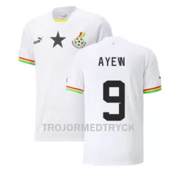 Ghana Ayew 9 VM 2022 Fotbollströja Hemma Jordan Ghana Ayew 9 VM 2022 Fotbollströja Hemma Jordan