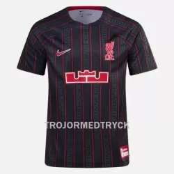 Liverpool X Lebron James Nike Tränings tröjor 2023 Liverpool X Lebron James Nike Tränings tröjor 2023