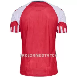 Danmark Fotbollströja Hemma 2023