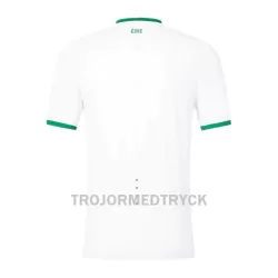 Irland Fotbollströja Borta 2023