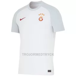 Galatasaray Fotbollströja Barn Borta 2023/24