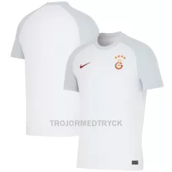 Galatasaray Fotbollströja Borta 2023/24 Galatasaray Fotbollströja Borta 2023/24