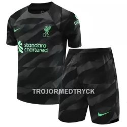 Liverpool Målvakt Fotbollströja Barn Hemma 2023/24 Liverpool Målvakt Fotbollströja Barn Hemma 2023/24