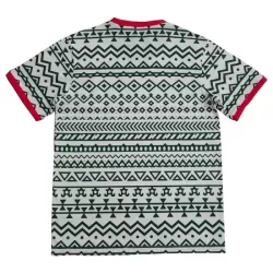 Nigeria Fotbollströja 2023/24 - Speciell