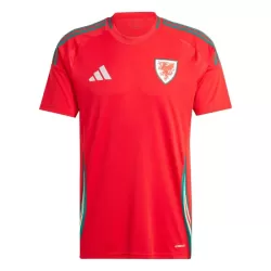 Wales Fotbollströja Hemma 2024 Wales Fotbollströja Hemma 2024