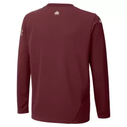 Manchester City Fotbollströja Tredje 2024/25 Långärmad