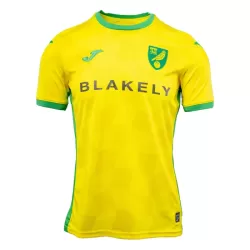Norwich City Fotbollströja Hemma 2024/25 Norwich City Fotbollströja Hemma 2024/25