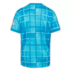 Hertha BSC Fotbollströja Tredje 2024/25