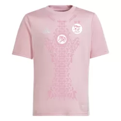Nigeria Fotbollströja 2024 Rosa - Speciell Nigeria Fotbollströja 2024 Rosa - Speciell
