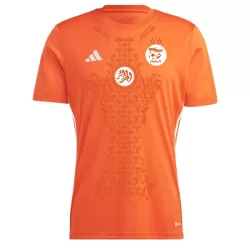 Nigeria Fotbollströja 2024 - Speciell Nigeria Fotbollströja 2024 - Speciell