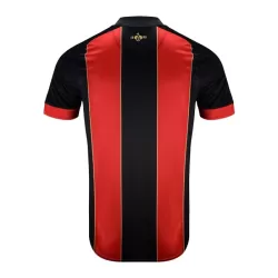 AFC Bournemouth Fotbollströja Jubileum 2024/25