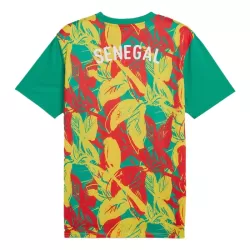 Senegal Pre-Match Fotbollströja 2024/25