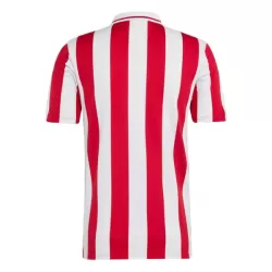 Olympiakos 100th Fotbollströja Jubileum 2024/25