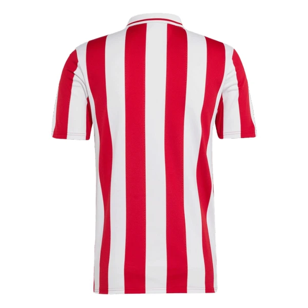 Olympiakos 100th Fotbollströja Jubileum 2024/25