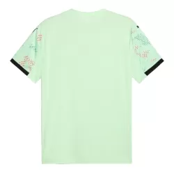 Portugal Fotbollströja Borta 2025