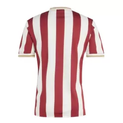 FC Nurnberg Fotbollströja Jubileum 2024/25