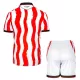 Stoke City Fotbollströja Barn Hemma 2025/26