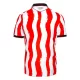 Stoke City Fotbollströja Hemma 2025/26