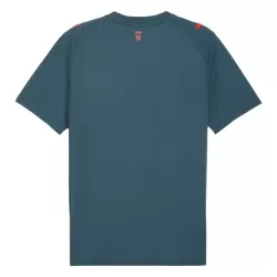 Shakhtar Donetsk Fotbollströja Borta 2025/26