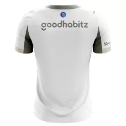 PSV Eindhoven Fotbollströja Tredje 2025/26