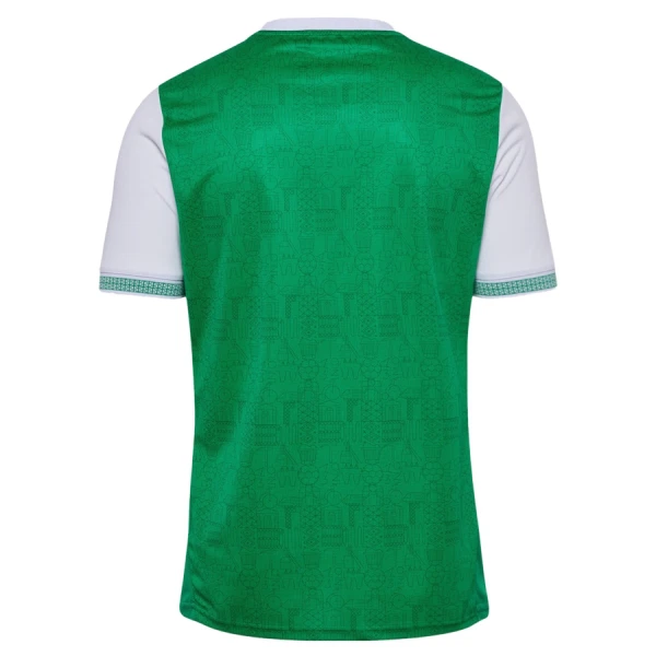 AS Saint-Étienne Fotbollströja Hemma 2025/26