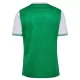 AS Saint-Étienne Fotbollströja Hemma 2025/26