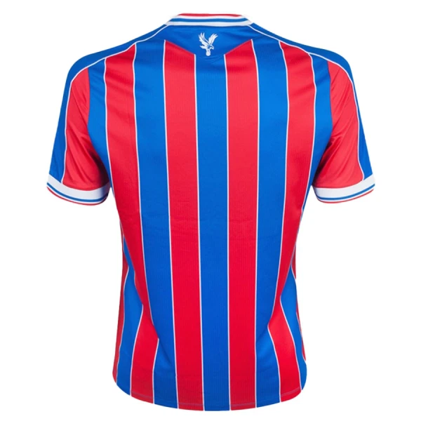 Crystal Palace Fotbollströja Barn Hemma 2025/26