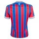 Crystal Palace Fotbollströja Barn Hemma 2025/26