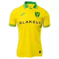 Norwich City Fotbollströja Hemma 2025/26