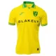 Norwich City Fotbollströja Hemma 2025/26 Norwich City Fotbollströja Hemma 2025/26