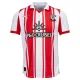 Southampton Fotbollströja Hemma 2025/26 Southampton Fotbollströja Hemma 2025/26