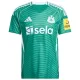 Newcastle United Fotbollströja Borta 2025/26 Newcastle United Fotbollströja Borta 2025/26