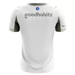 PSV Eindhoven Fotbollströja Barn Tredje 2025/26