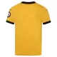 Wolverhampton Fotbollströja Barn Hemma 2025/26