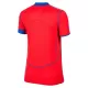 Paris Saint-Germain Fotbollströja Dam Tredje 2025/26