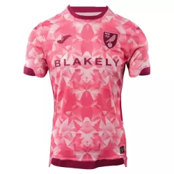 Norwich City Fotbollströja Tredje 2025/26