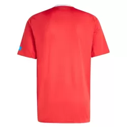 FC Nurnberg Fotbollströja Tredje 2025/26