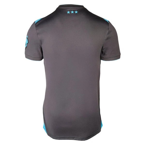 Ipswich Town Fotbollströja Tredje 2025/26