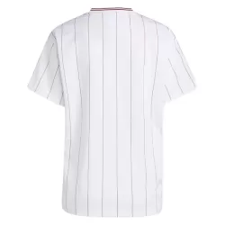 Aston Villa Terrace Icons Fotbollströja 2025/26