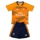 Cardiff City Fotbollströja Barn Tredje 2025/26